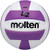 Molten L2 with High School Stamp