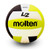 Molten L2 with High School Stamp