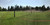 kob pts pano